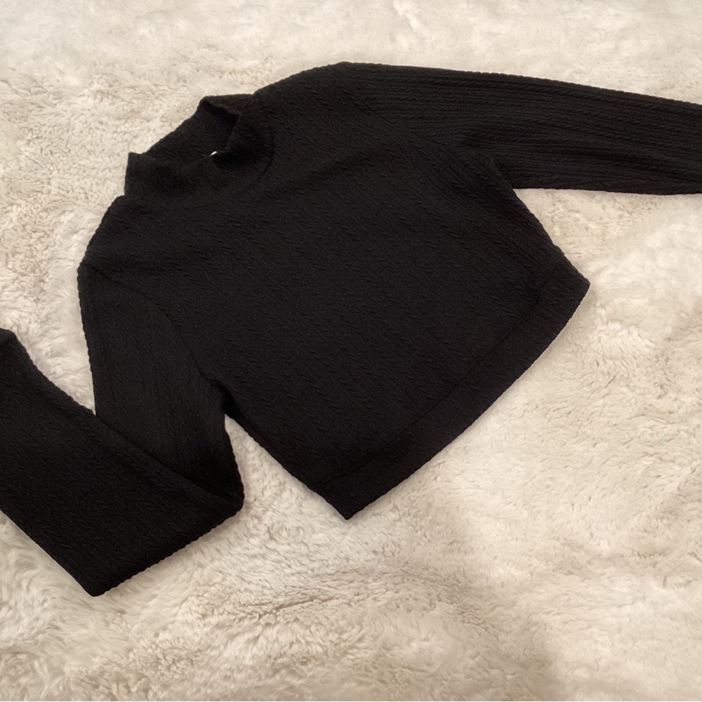 Black Textured Long‎ Sleeve  Mock Neck Crop Top